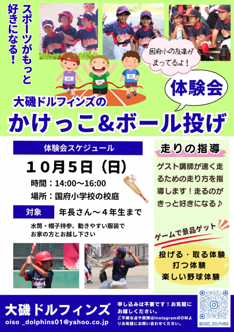 大磯ドルフィンズ