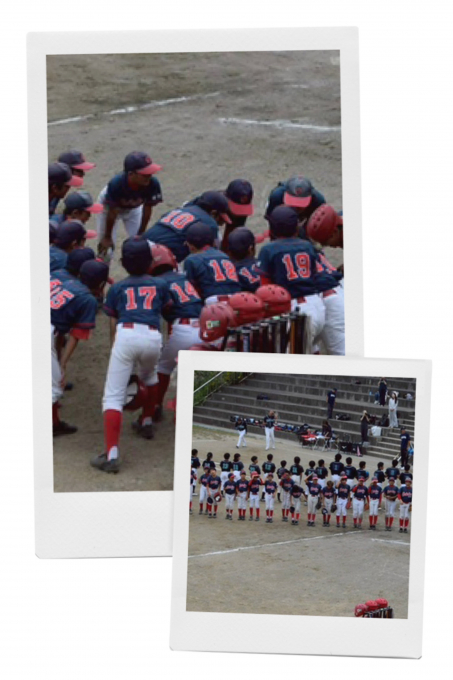 大磯ドルフィンズ